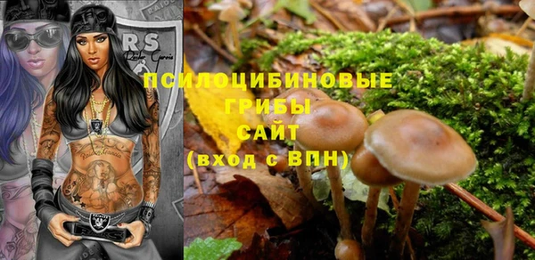 герыч Алексин
