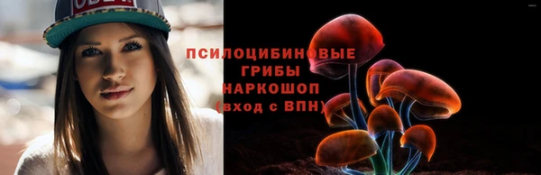 герыч Алексин