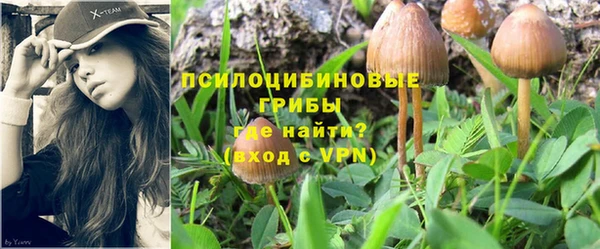 таблы Алексеевка