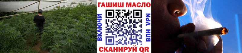 ТГК концентрат  магазин продажи наркотиков  Себеж 
